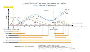 Mate niekto test na igg a igm protilatky na koronu? Wondfo V Roce 2021 Budou Klicem V Boji Proti Pandemii Covid 19 Protilatkove Antigenni A Pcr Testy