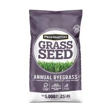 Grass seed requires soil, water some grass types, such as kentucky bluegrass, germinate more slowly than others, such as ryegrass. Pennington 25 Lb Annual Ryegrass Grass Seed In The Grass Seed Department At Lowes Com