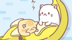 Kết quả hình ảnh cho cat in a banana