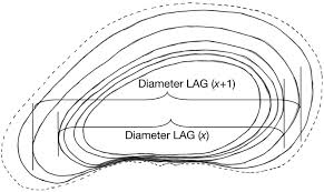 Here, we will help you in drawing the skull with cross bones. Caretta Caretta Schematic Drawing Of A Humerus Bone Cross Section Download Scientific Diagram