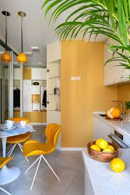 Amenager Appartement 45m2 Placards Et Equipement En Blanc Appartement Amenagement Appartement Petit Appartement