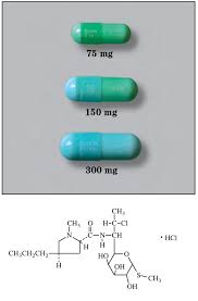 Image result for Clindamycin