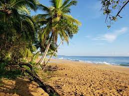 Maybe you would like to learn more about one of these? Peace And Serenity Personified Review Of Playa Bluff Bluff Beach Panama Tripadvisor