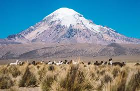 Travel To Bolivia Discover Bolivia S Attractions Kilroy