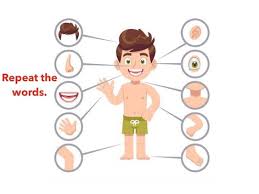 Here are our top puzzles for preschoolers. Body Parts Online Games Language Studies Native Free Games Activities Puzzles Online For Kids Preschool Kindergarten By Ms Talita Tinytap