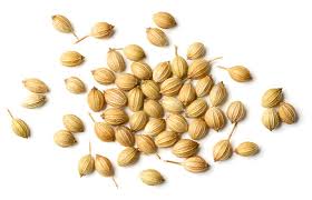 Coriander Seeds Images – Browse 44,446 Stock Photos, Vectors, and Video |  Adobe Stock