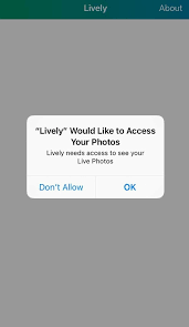 You'll see 3 options for your live photo: Top 3 Methods To Turn Iphone Live Photo Into Video