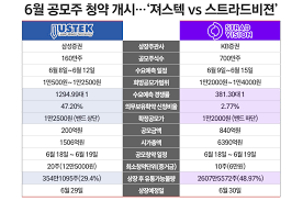 스트라드비젼
