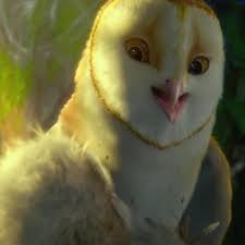 Gardienii din ga'hoole armata bufnitelor rele rapeste o tanara bufnita, soren, pe care o duce in teritoriul lor din st vedeti in player desene animate legende din regatul bufnitelor legend of the guardians: Legend Of The Guardians The Owls Of Ga Hoole Legende Din Regatul BufniÈ›elor 2010 Film Cinemagia Ro