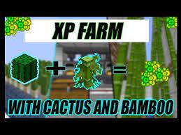 Easiest xp farm in minecraft bedrock (mcpe/xbox/ps4/nintendo switch/windows10) this minecraft bedrock xp farm is. 1 16 Easy Minecraft Cactus And Bamboo Xp Farm Bedrock And Java Tutorial Youtube