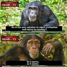 Check spelling or type a new query. Memri Tv Return To Monke Return To Monke Know Your Meme