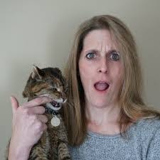 Kara Herrmann's Instagram, Twitter & Facebook