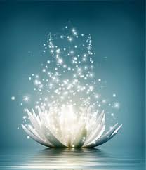 Pin By Kritta On Light Of Consciousness Spirituality Meditation Water Lily