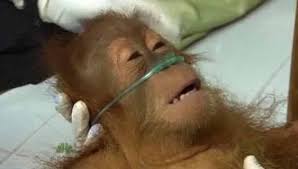 images?q=tbn:ANd9GcTTsSQDDLmsBTQPOT7Wqug