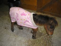 Loretta McCORMICK Obituary (2014)