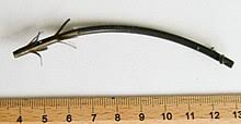 Stent Wikipedia