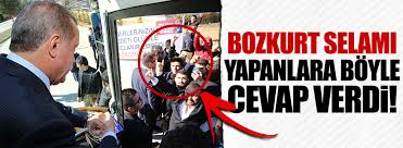 Maybe you would like to learn more about one of these? Erdogan Dan Kendisine Bozkurt Yapanlara Ilginc Karsilik