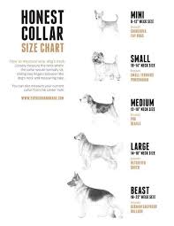 Use the measurements below to help you choose the right collar for a healthy, happy pet. Medium Collar Size Dog Cheap Online