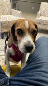 Robie & Eric 👬🏻💙💛 (@robie.and.eric) • Threads, Say more