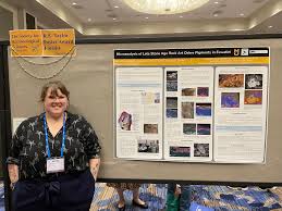 Image result for Ochre Hilite Dark 1977 Kelvinator