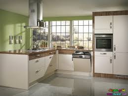 مطابخ خشبية باللون الاخضر الزيتوني مطابخ عصرية للمرأة المصرية و العربية جديدة