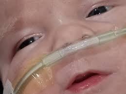 Fundraiser by Nicole Manrodt : Support the family of Michael Solomon