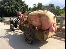 "100% пограничники. Мы уже выяснили", - адвокат Чернолуцкий о задержании Саакашвили - Цензор.НЕТ 143