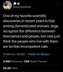 Последние твиты от memes nigeria #bbnaijamemes (@mymemesng2). Best 30 Twitter Fun On 9gag