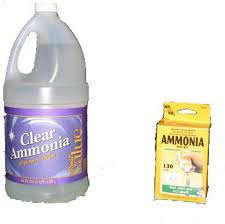Ammonia For Carpet Cleaning Fish Tank Cleaning Fish Safe Cleaning Products