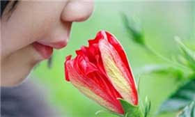 images?q=tbn:ANd9GcTTsuJ2BixkzoHJz_V0NHM