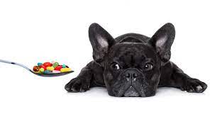 Perspective Does Your Pooch Really Need Prozac Dog Medicine Your Pet Your Dog