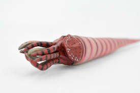 Image result for Orthoclada