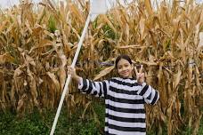 Halloween on the Farm