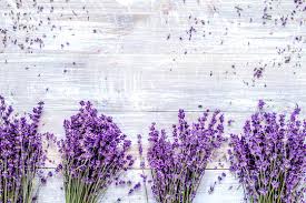 Click here to see list of our delivery cities. Bunch Of Dry Lavender Flowers On Rustic Background Top View Mock Stock Photo Adobe Stock