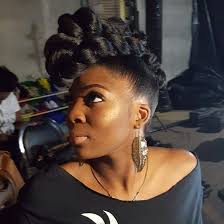 Twisted Mane Salon Raleigh Nc Naturalupdo Natural Updo Hair Makeup Hair Styles