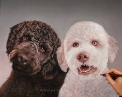 Lily, Sophie and Maggie. Blankets are life ❤️❤️❤️