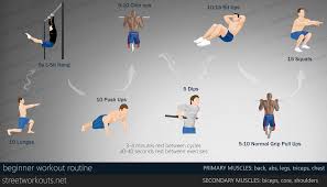 beginner workout routine