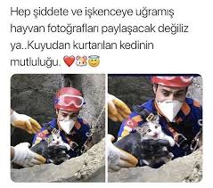 Sevgi Solak Adli Kullanicinin Gulumse Panosundaki Pin Hayvan Komik Komik Hayvan