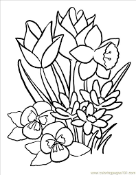 The bitterroot and the columbine spring flowers coloring pages were inspired by my trip to yellowstone. Free Printable Spring Flowers Coloring Pages Coloring Home