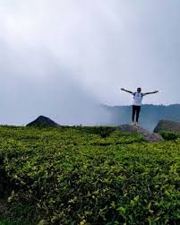 We did not find results for: 8 Kebun Teh Instagramable Ini Ternyata Ada Di Indonesia Lho Pt Perkebunan Nusantara Xii