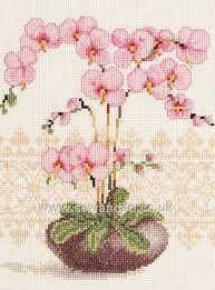 Shop Online For Pink Orchid Cross Stitch Kit At Sewandso Co Uk Browse Our Great Range Of Cross Stitch And Needlecraf Kanavice Ornekleri Kanavice Oya Ornekleri