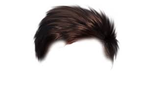 Top 200 Hair Png Download All New Cb Hair Style Png For Picsart Editing Zip Free Download All Type Whatsapp An Hair Png Photoshop Hair Photoshop Backgrounds