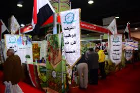 الشركات العارضة Fun Slide Grounds Fun