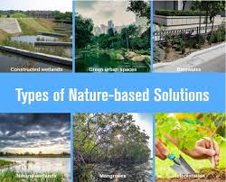 Nature Based Solutions The Advantage Of Being A Developing Country International Water Association