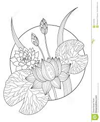 As a tattoo lover, you may have seen a lot of lotus flower tattoo design. Outline Lotus Flower Tattoo Stencil Tattoo Designs Ideas