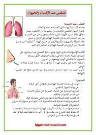 التنفس عند الإنسان والحيوان التنف س عند الإنسان يحتاج الإنسان للهواء النقي كاحتياجه للماء و الغذاء يتكو ن الجهاز التنفسي للإنس in 2021 learning arabic iyo learning