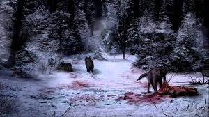 Dire wolf (canis dirus leidy, 1858). Canis Dirus The Hunted Stag Youtube