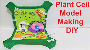 Animal cell model at home. Download Make Your Own Model Of A Cell With Materials 3d Mp3 Free And Mp4