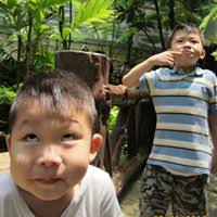 Cliff Chow Email & Phone Number