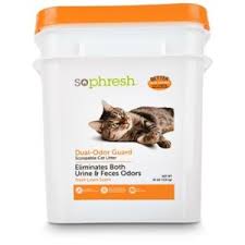 After three years, we still think our top pick is the best litter for most cats. So Phresh Cat Litter Reviews The Best So Phresh Cat Litters